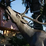 Guest house Elena 3*