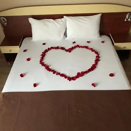 Elena Guest house *