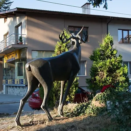 Guest house Elena Velingrad