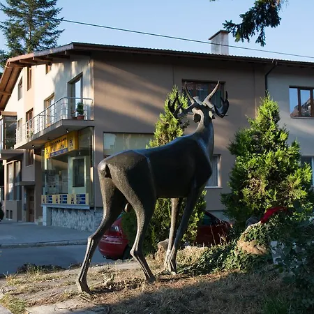 Guest house Elena *