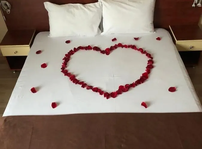 Elena Guest house 3*