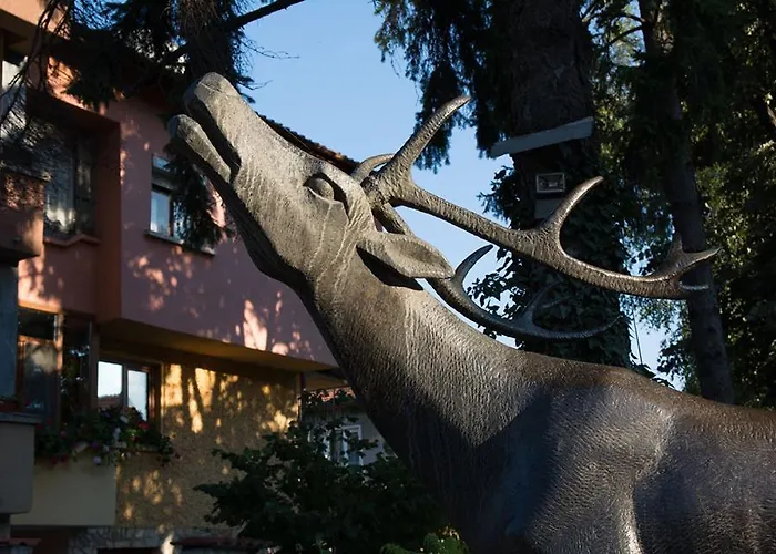 Guest house Elena 3*