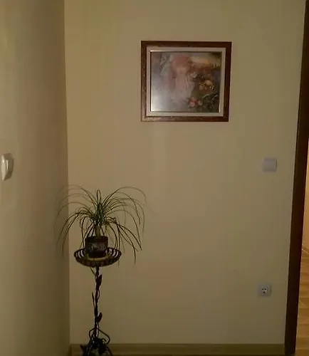 Guest house Elena Velingrad