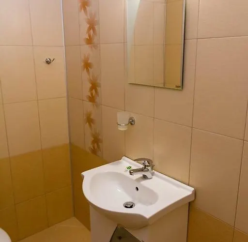 Guest house Elena 3*