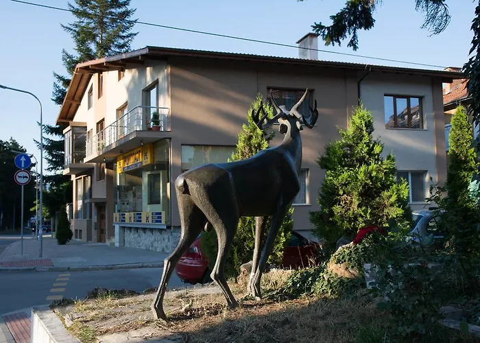 Guest house Elena 3*